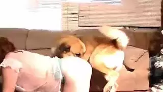 حفلة نيك حيوانية: كلب عدواني يضرب حفرة مشدودة لامرأة ناضجة