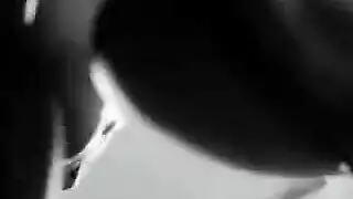 جنس جماعي بين الأعراق: حفلة ملوك التحرر الأمريكية