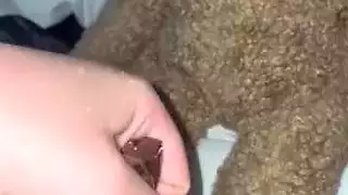 مراهقات هواة عربيات ساخنات: نزوة طعام جماعي مع قذف كريمي