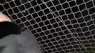 سكس حراري الجد