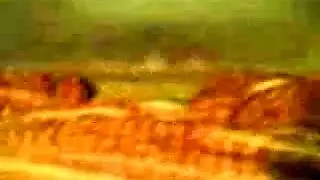 جزائري وكلام واضح